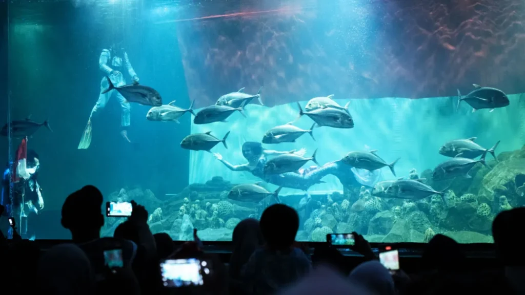 Aquarium Indonesia Pangandaran