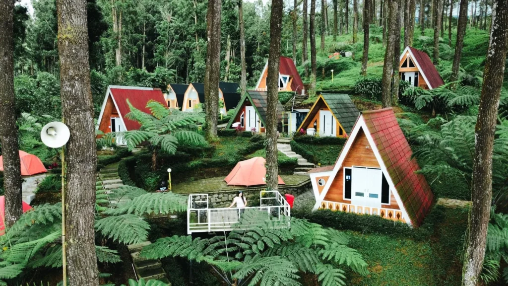 Obyek Wisata Purwokerto Hutan Pinus