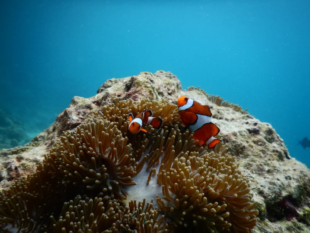 Taman Wisata Alam Pulau Weh
