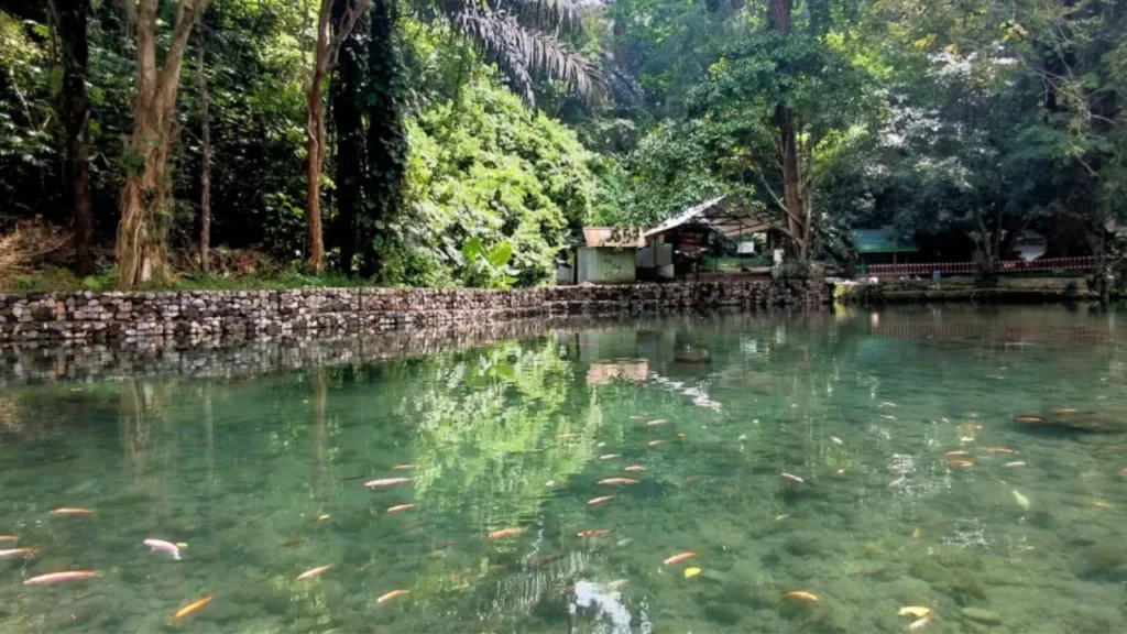 Wisata Salatiga Umbul Senjoyo