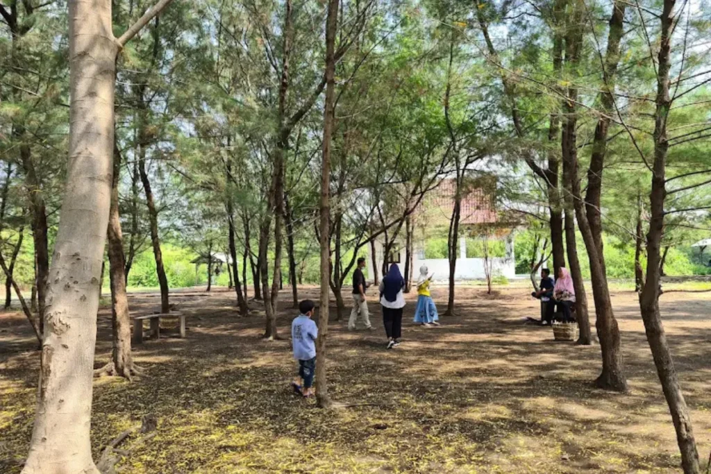 daya tarik wisata bahari Tlocor