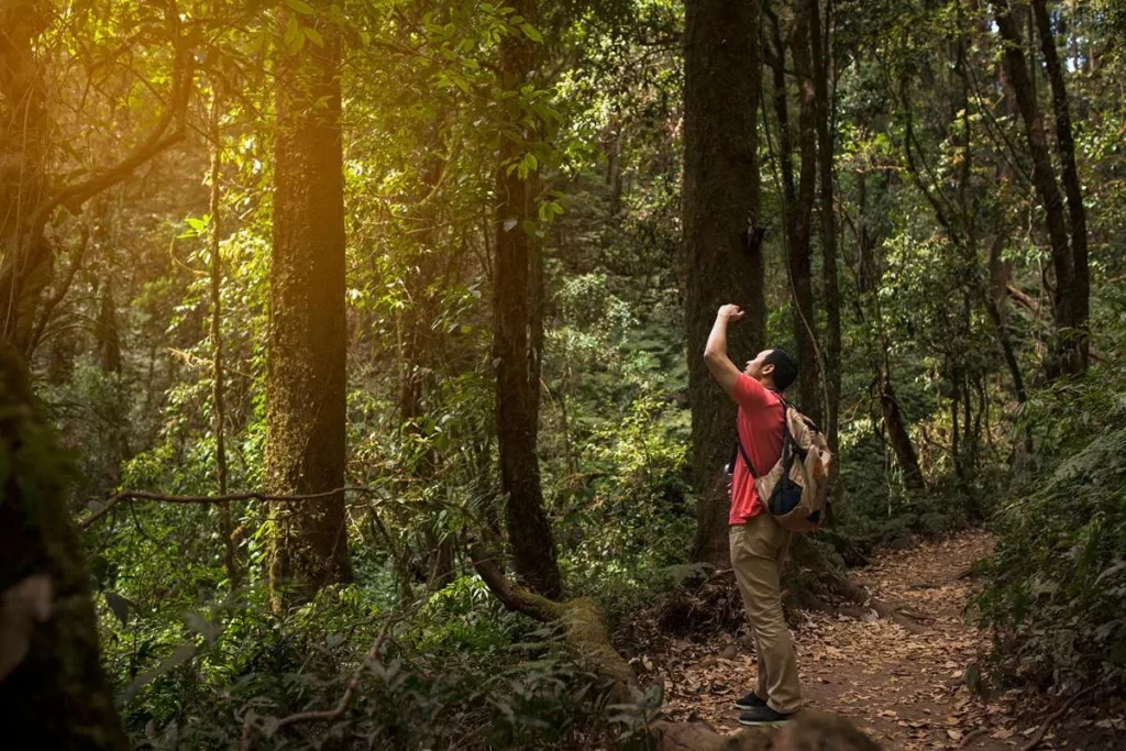 hutan wisata Pananjung