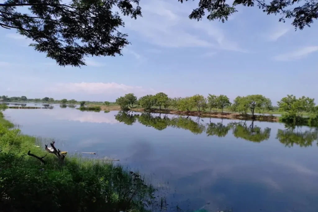 lokasi, akses, tiket, dan fasilitas di wisata bahari Tlocor