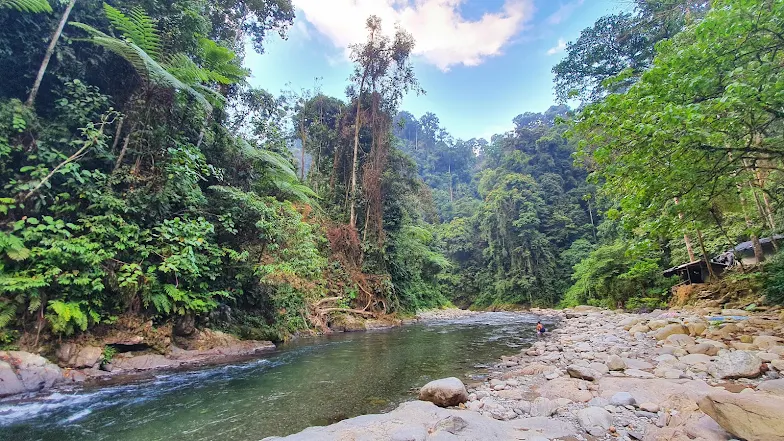 wisata alam bukit Lawang