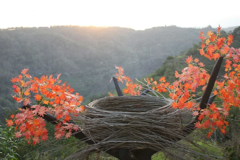 wisata alam bukit Mojo Gumelem