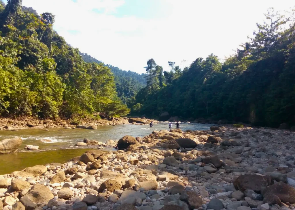 Taman Nasional Aketajawe-Lolobata