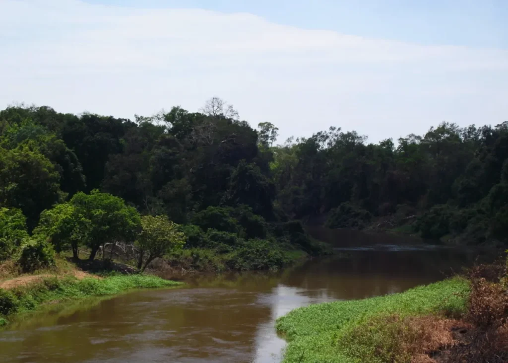 Taman Nasional Wasur