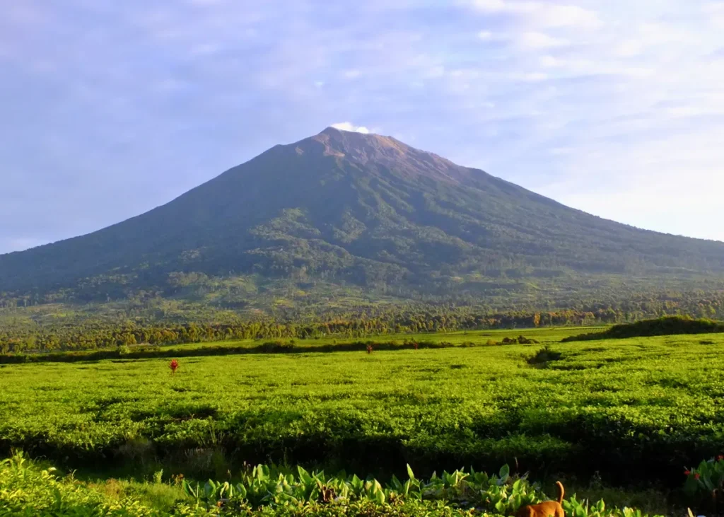 taman wisata cagar alam