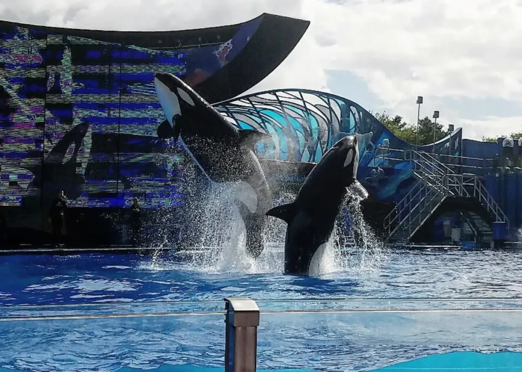 tempat wisata asyik buat keluarga