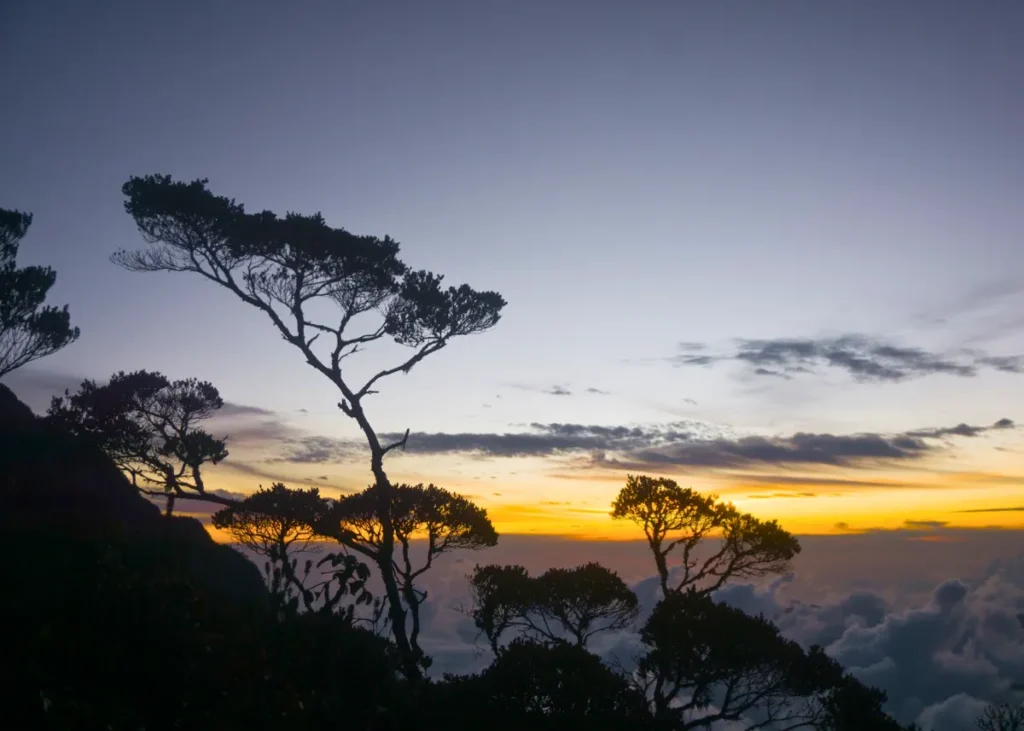tempat wisata cagar alam