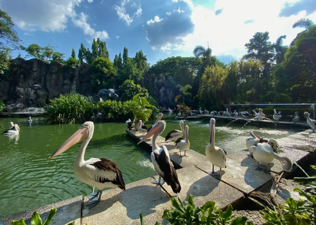 tempat wisata di Jakarta yang murah dan bagus