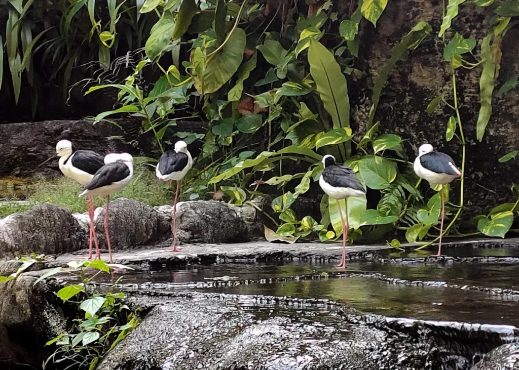 tempat wisata yang enak untuk keluarga