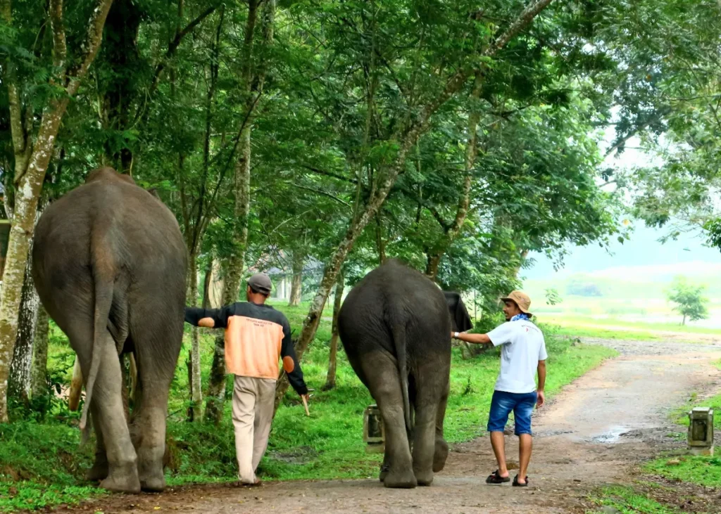 wisata cagar alam di Indonesia