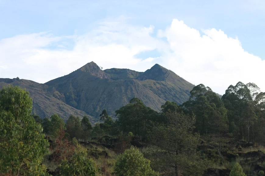harga Jungle Camping Kintamani